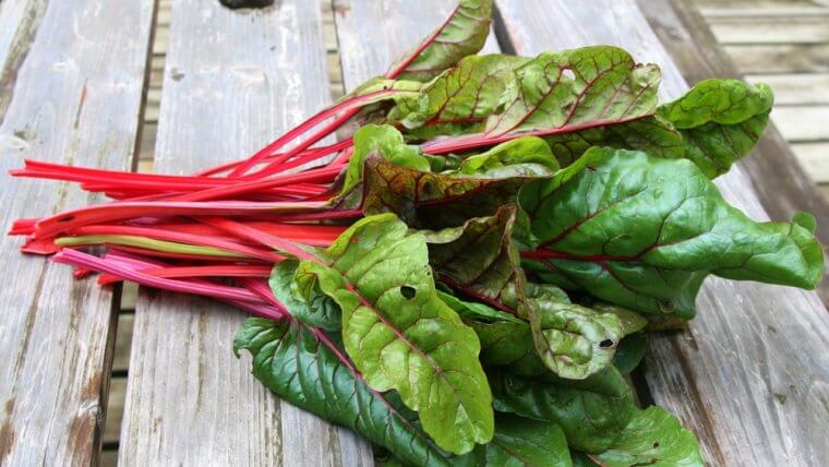 Swiss Chard -Vegetables That Are High In Iron