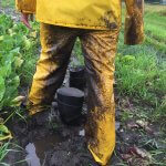 wozupi tribal gardens organic farm prior lake minnesota