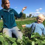 wozupi tribal gardens organic farm prior lake