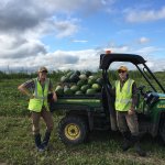 farm life
