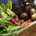organic fruits and vegetables important