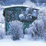 Garden Shed in the Snow
