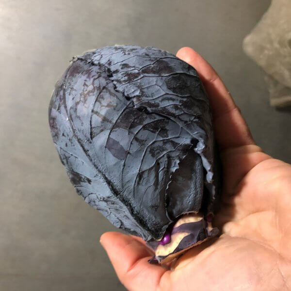 Cabbage, Red (small, by the each)