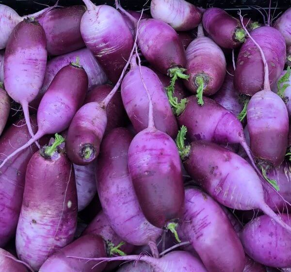 Daikon, Purple (by the lb.)