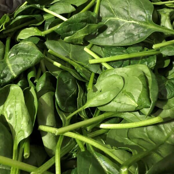 Spinach, 'Wintersweet' (by the lb. & available intermittently)