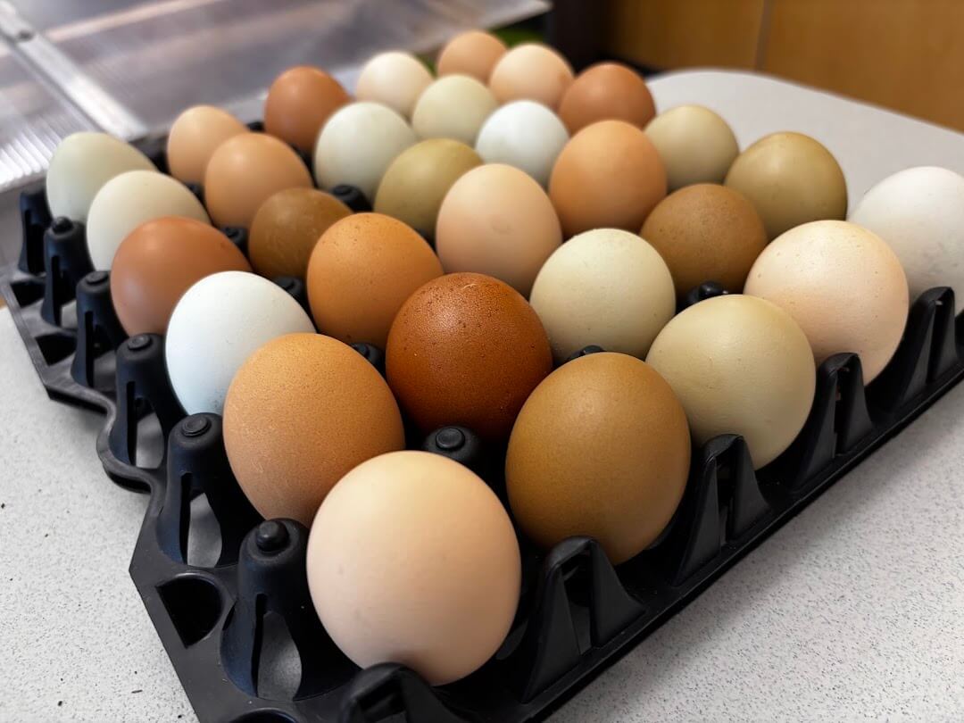 eggs - 30 ct in a flat