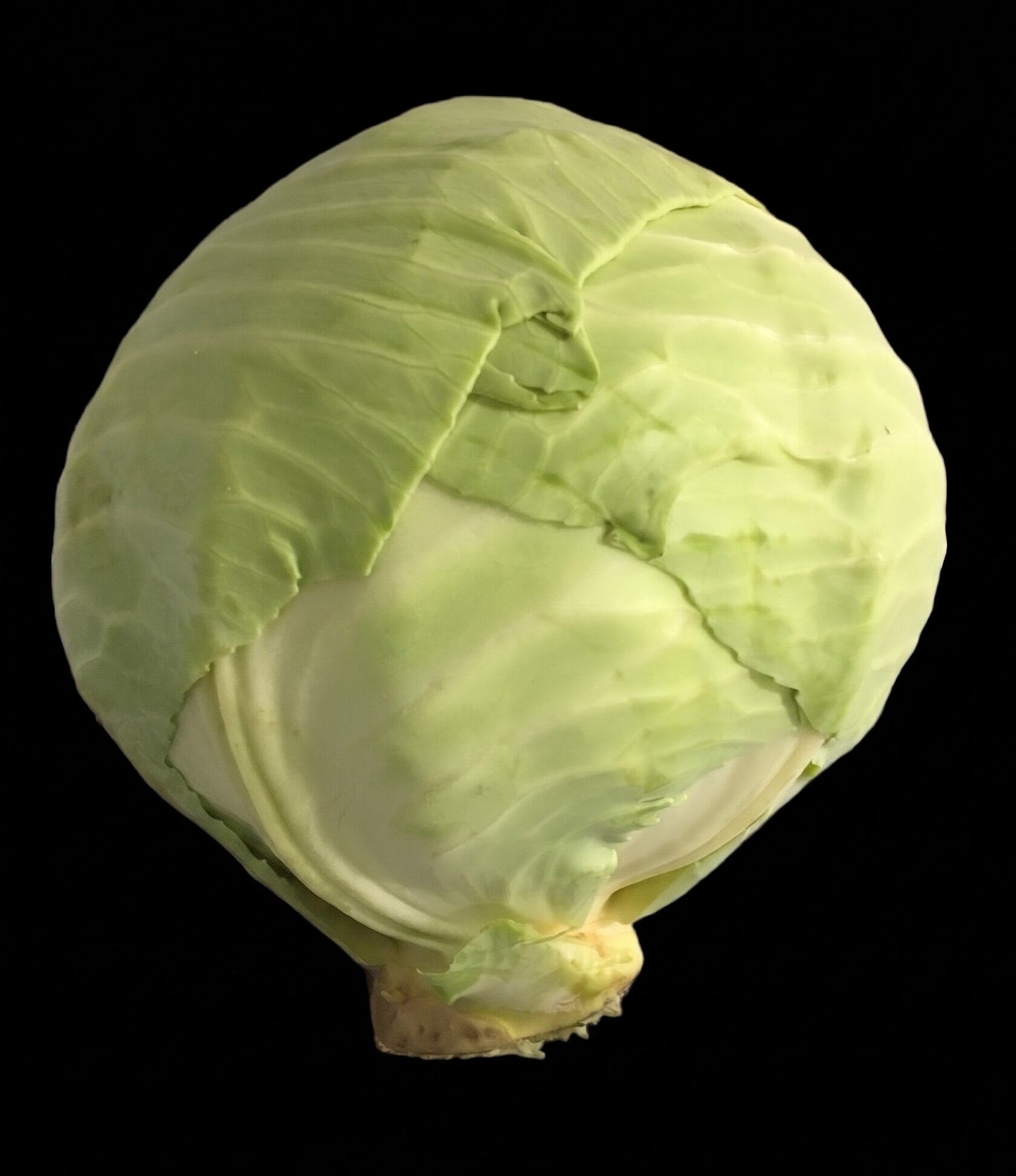 cabbage 3 lb