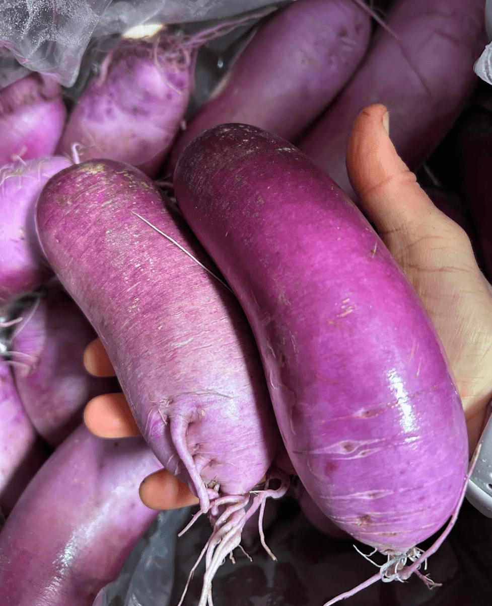 purple daikon radish